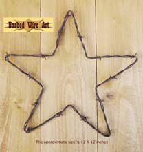 Star ~ Rodeo Wall Hanging Decor